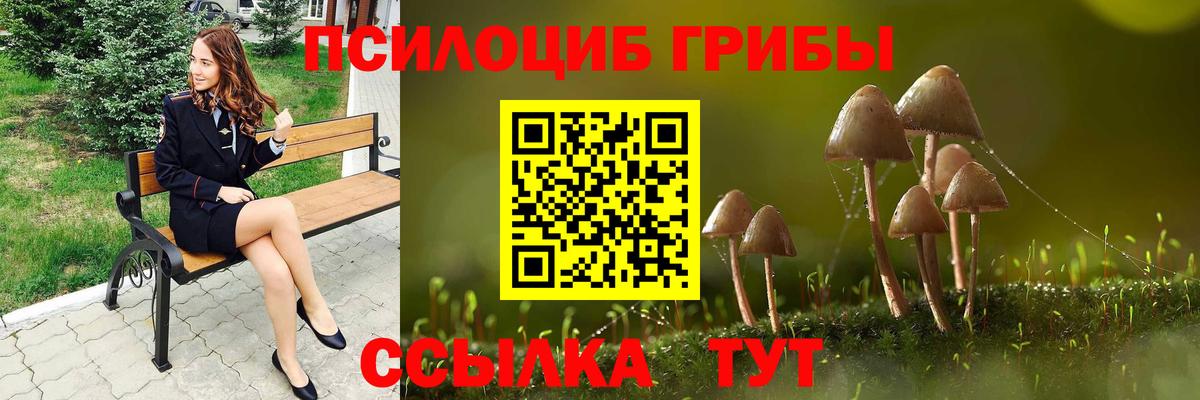 Галлюциногенные грибы Psilocybine cubensis  Вход с VPN  Галлюциногенные грибы GOLDEN TEACHER  Заречный 